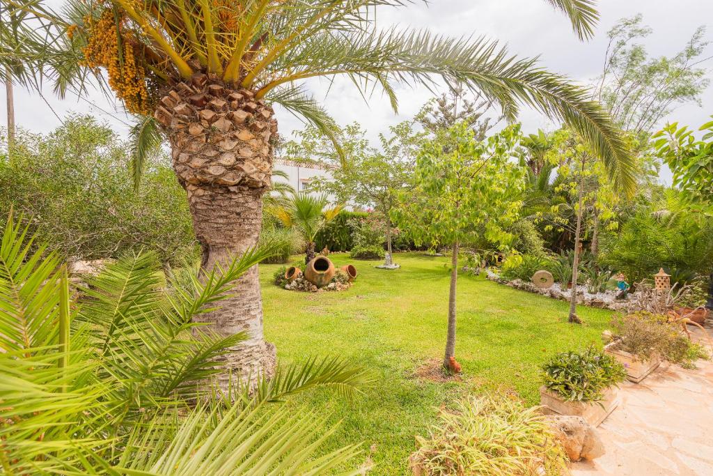 Villa Dolce Vita photo 4