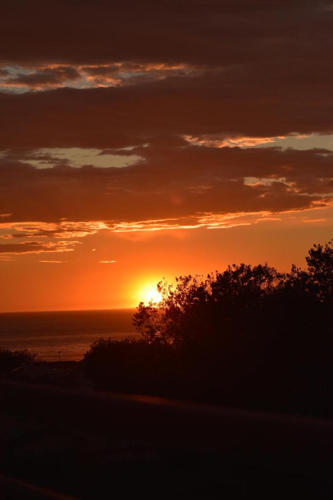 Aguda Mar - Arcozelo, V N Gaia photo 4