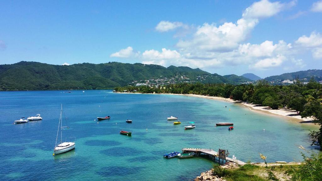 Studios Carribean Sea View photo 1