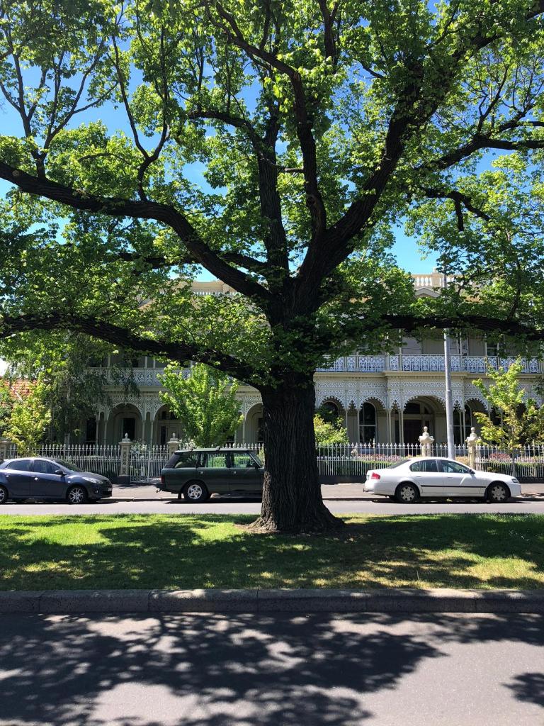 East Melbourne City Studio - Amazing Location & Sunny Charm photo 3