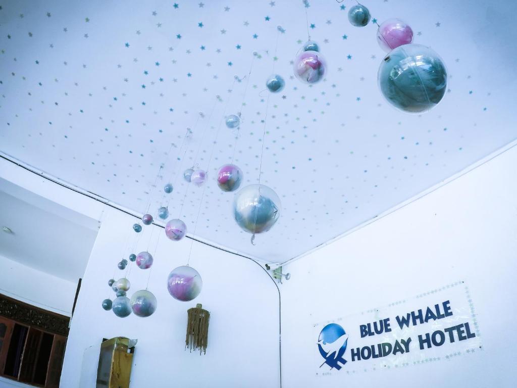 Mirissa Blue Whale Holiday Hotel photo 2