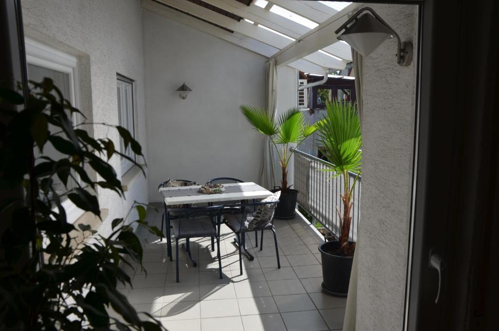 PalmGarden photo 1
