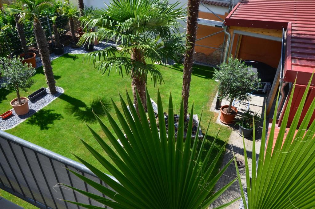 PalmGarden photo 3