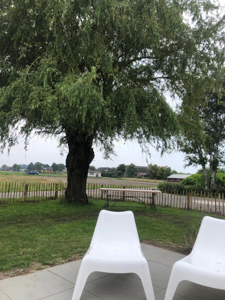 Kust-, fiets-, wandel-, rust- & cultuurlocatie photo 4