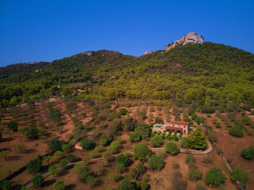 Sa Sinia - Family rural house with pool and mountain views photo 4
