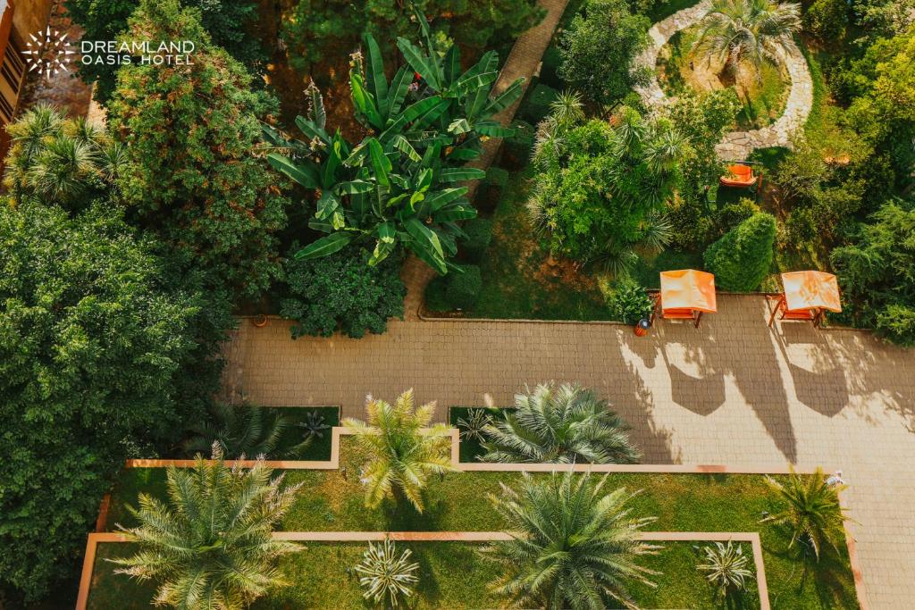 Dreamland Oasis Hotel photo 2