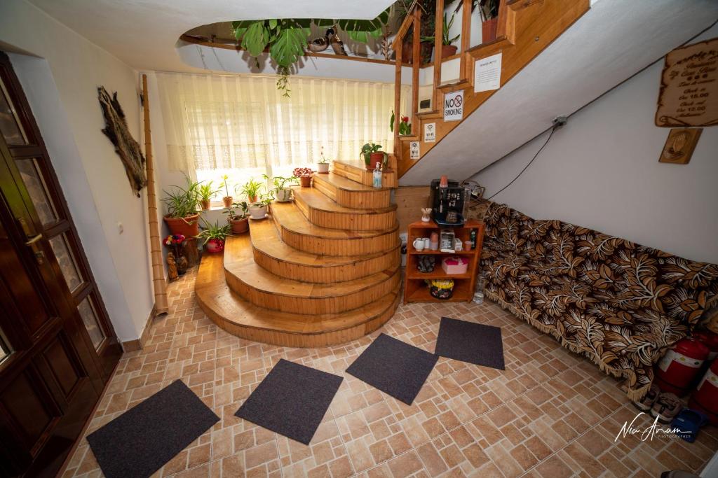 CASA BINU photo 2