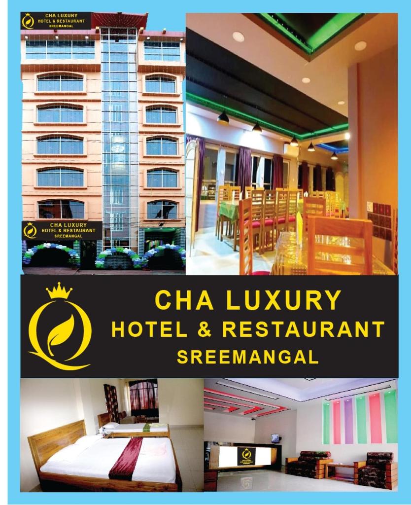 Cha luxury Hotel & Restaurant photo 1