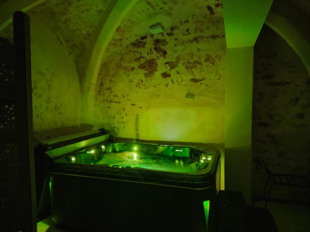 L'envoûtement Provençal, jacuzzi privatif et SPA photo 1