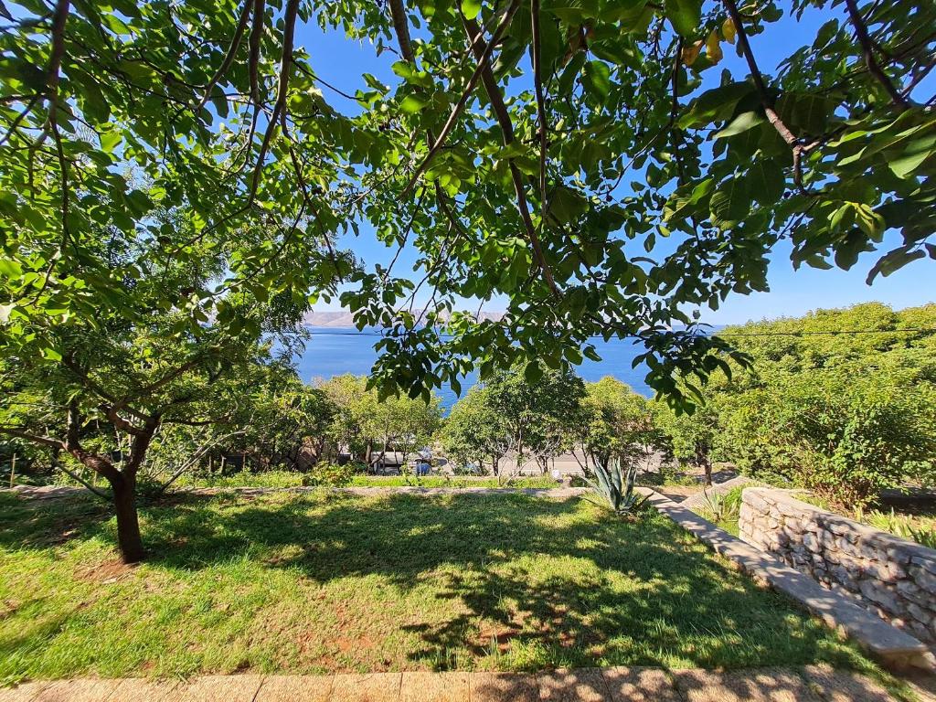 Apartments Petko photo 1