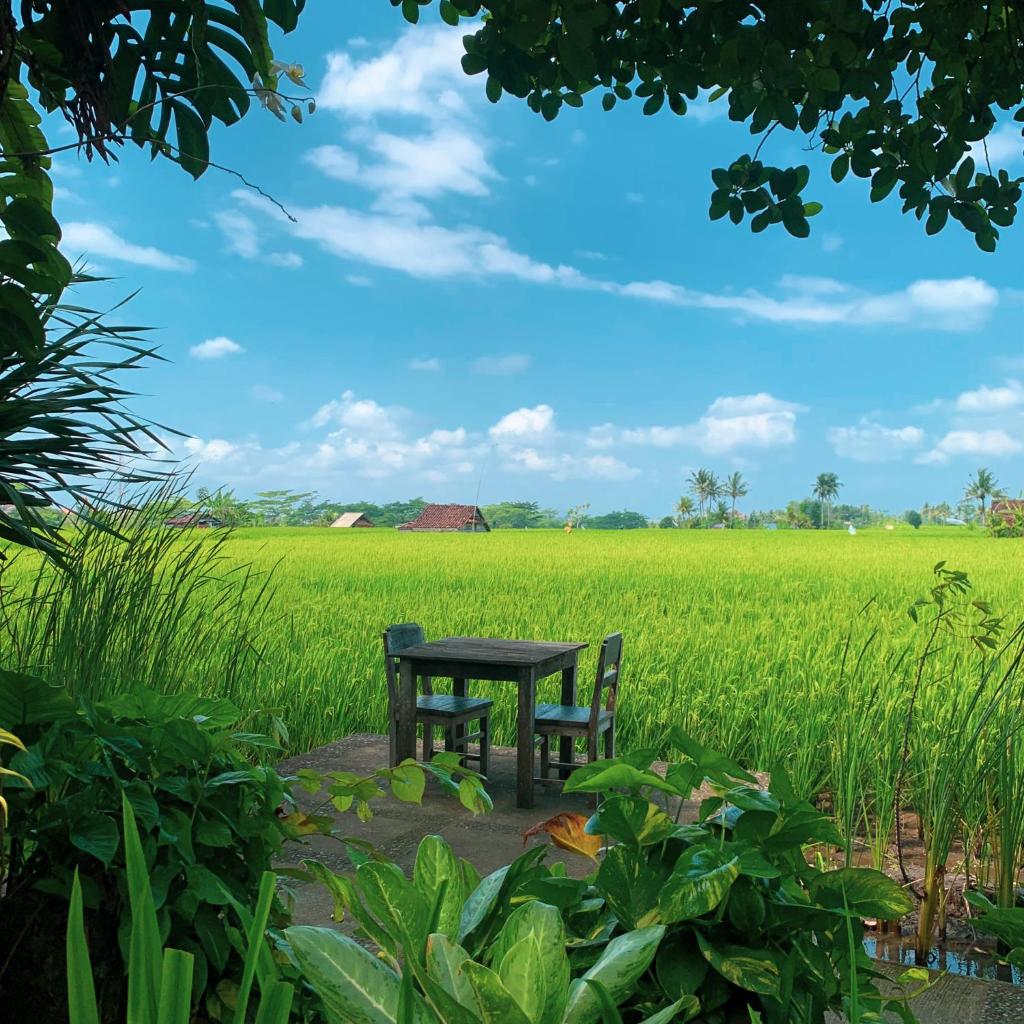 Umasari Rice Terrace Villa photo 4