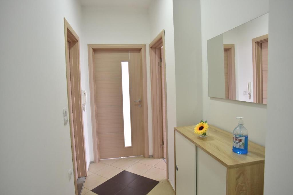 SOKOLANA Apartments photo 4