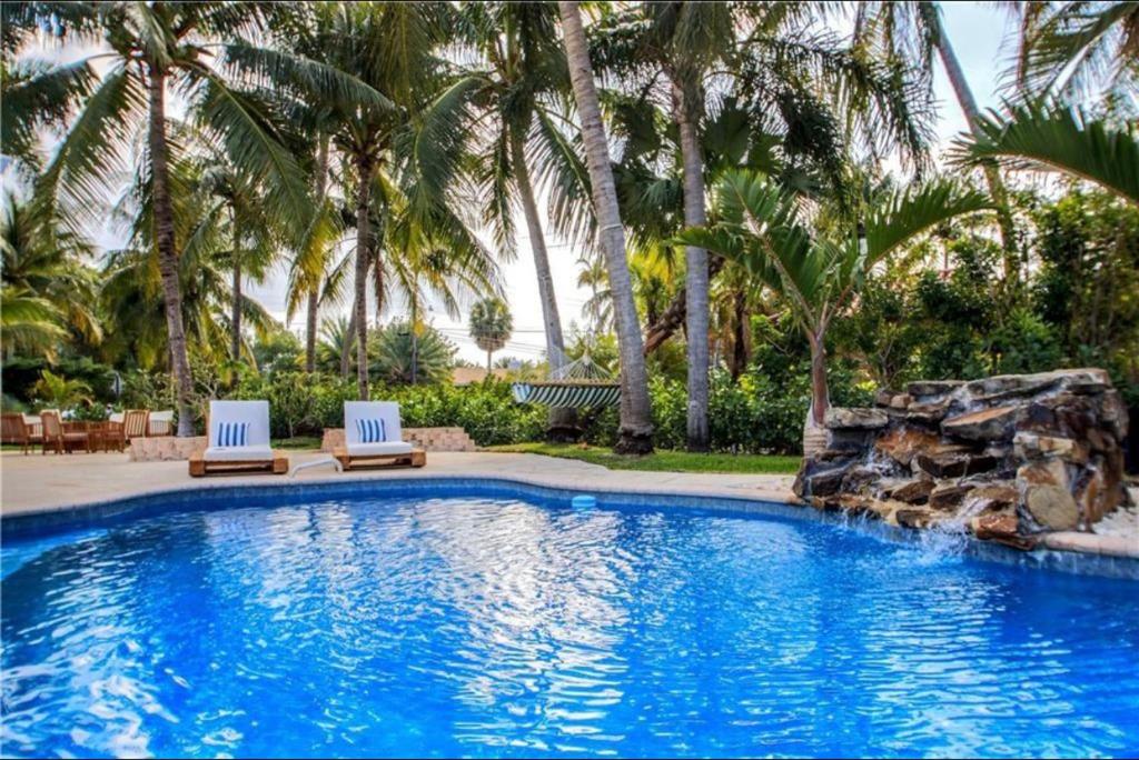 SWAYING PALM BEACH HOUSE image