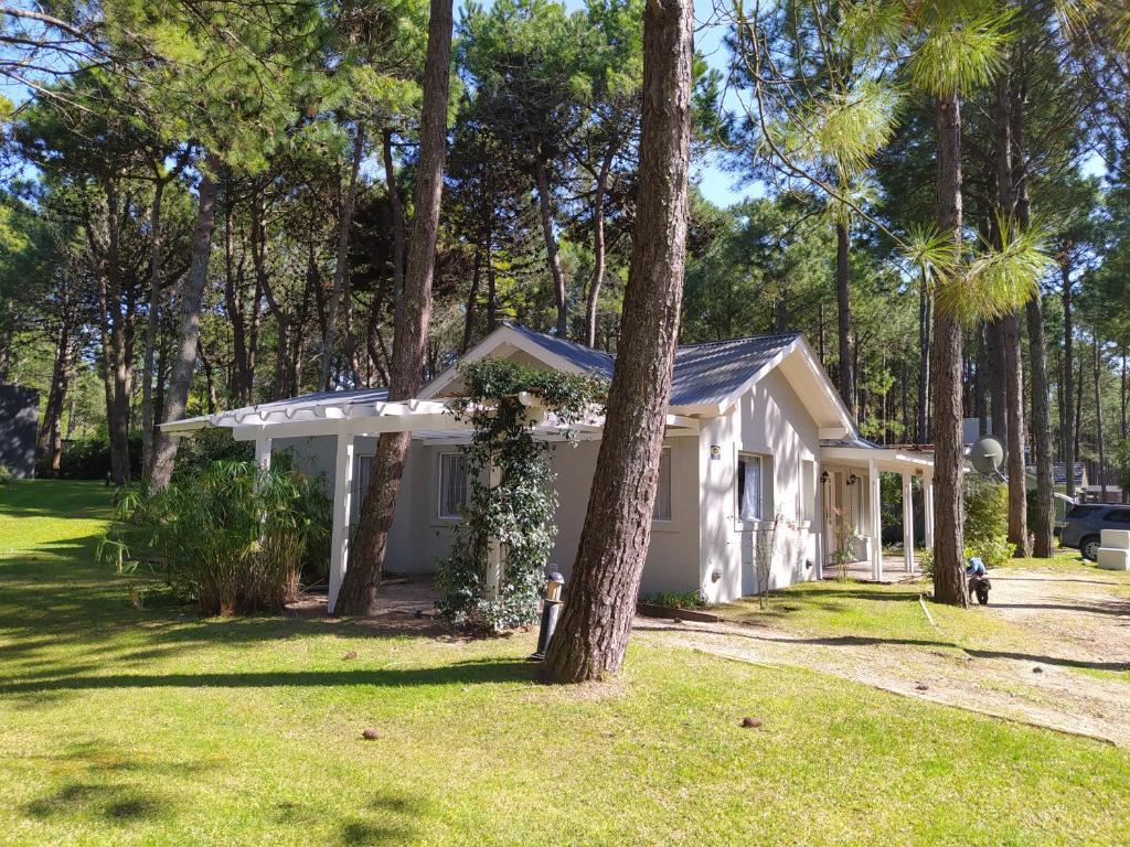Pinamar Norte Casa Aquiles 8 pax photo 4