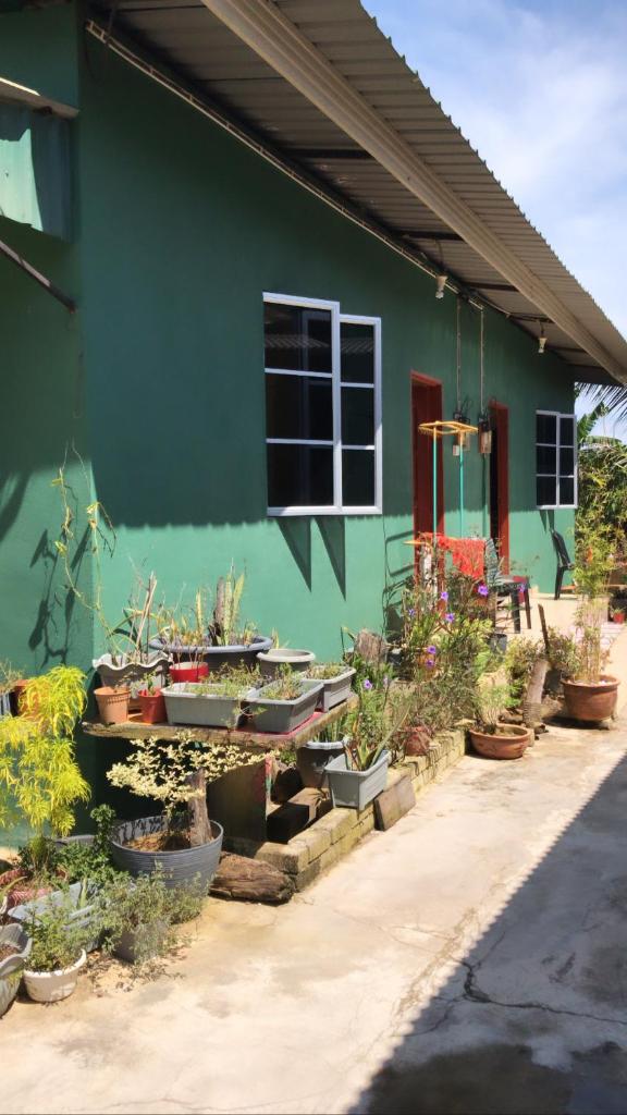 Homestay d SOFIA photo 1