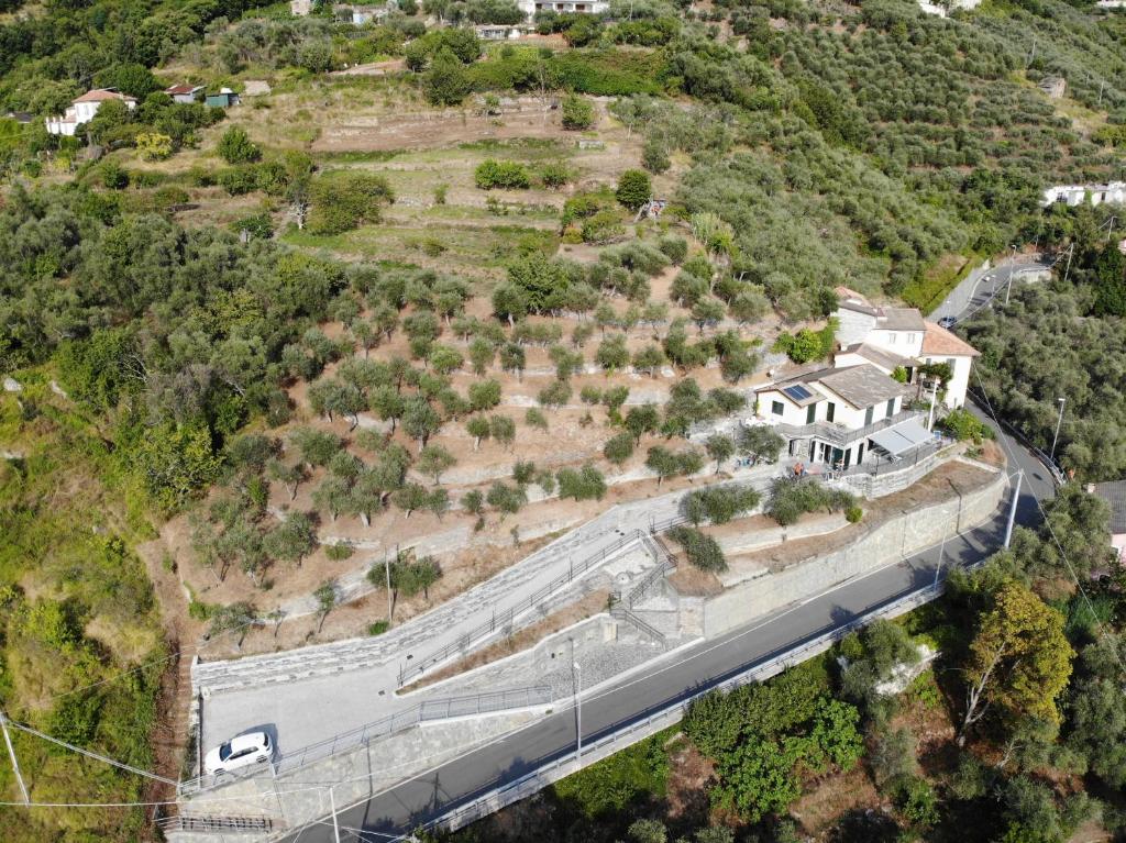 CA' DA TOLLO photo 4