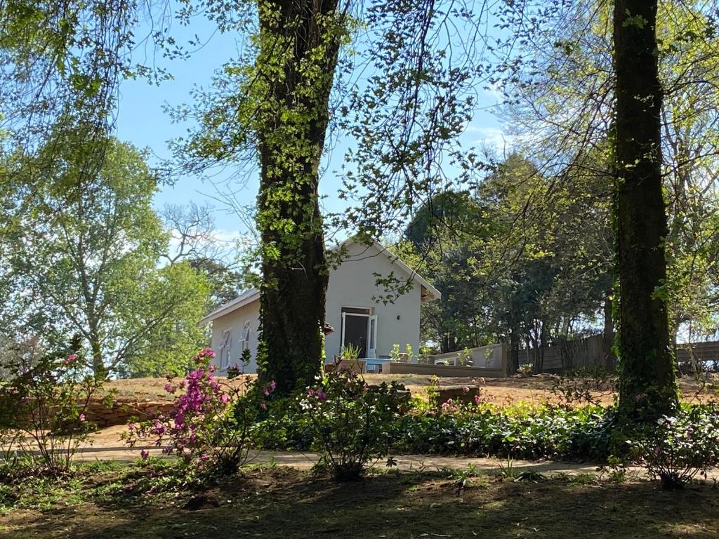 Yellowwoods Farm - THE GOAT HOUSE photo 1