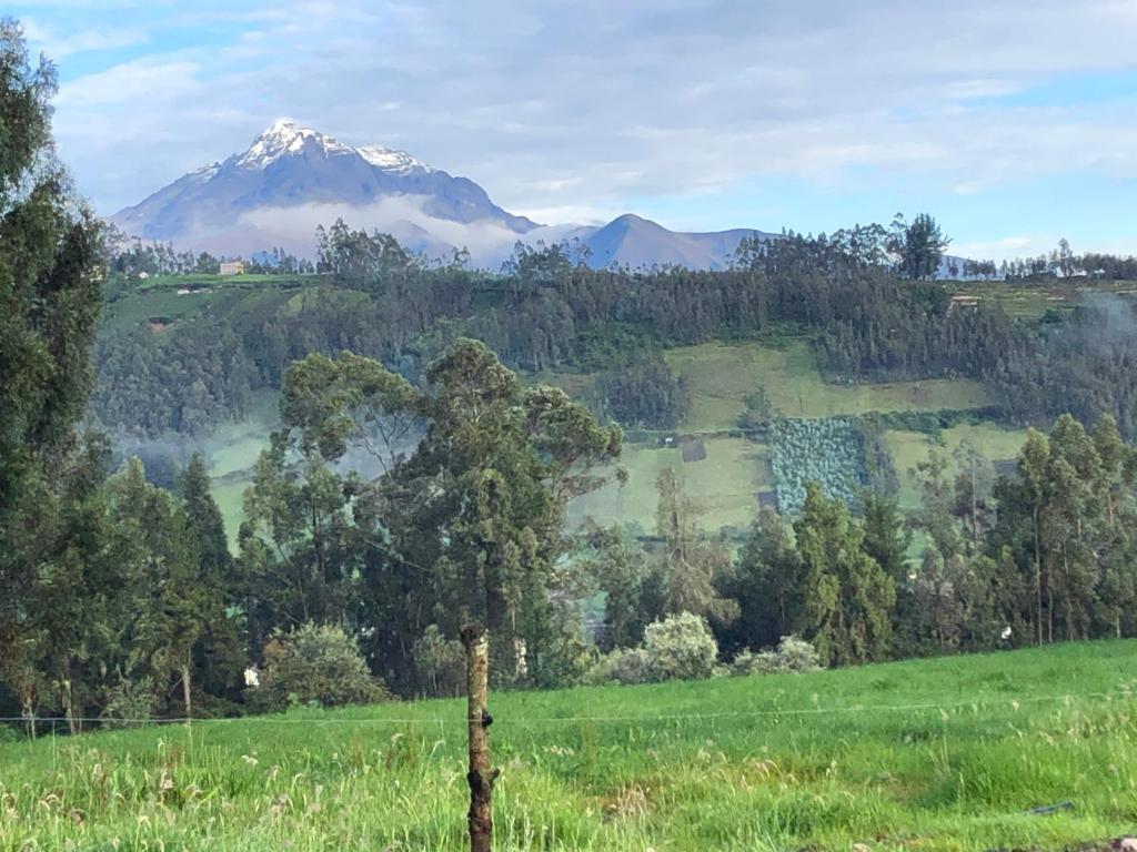 Hacienda Rosas Pamba photo 3