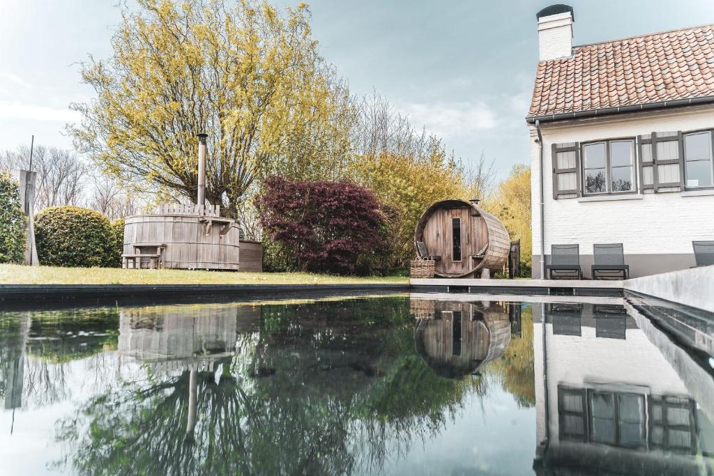 B&B Extra Verte