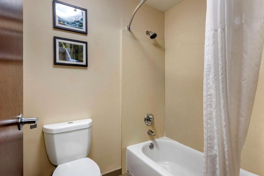 Семейный (Номер с 2 кроватями размера «queen-size»), Comfort Inn Portland