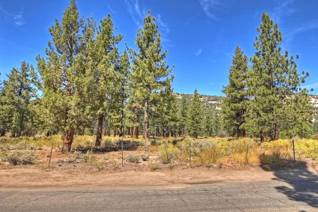 DoorMat Vacation Rentals - Brother Bear Cabin with free WIFI! photo 3