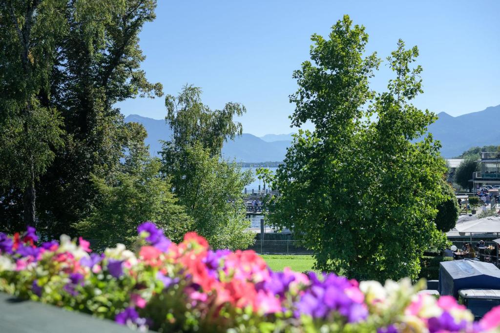Hotel Garni Möwe am See photo 3