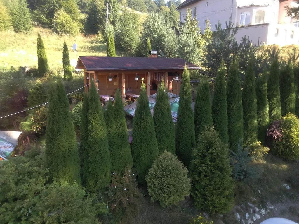 Pensiunea Korona photo 3