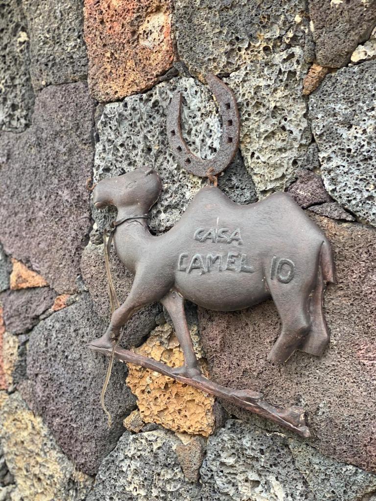 Casa Camelio photo 3