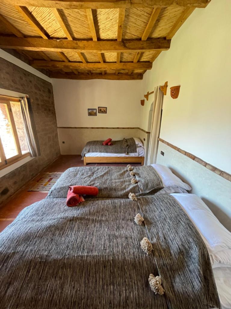 Issouganes N Toubkal Maison d hôtes Room Type - Triple Room with View