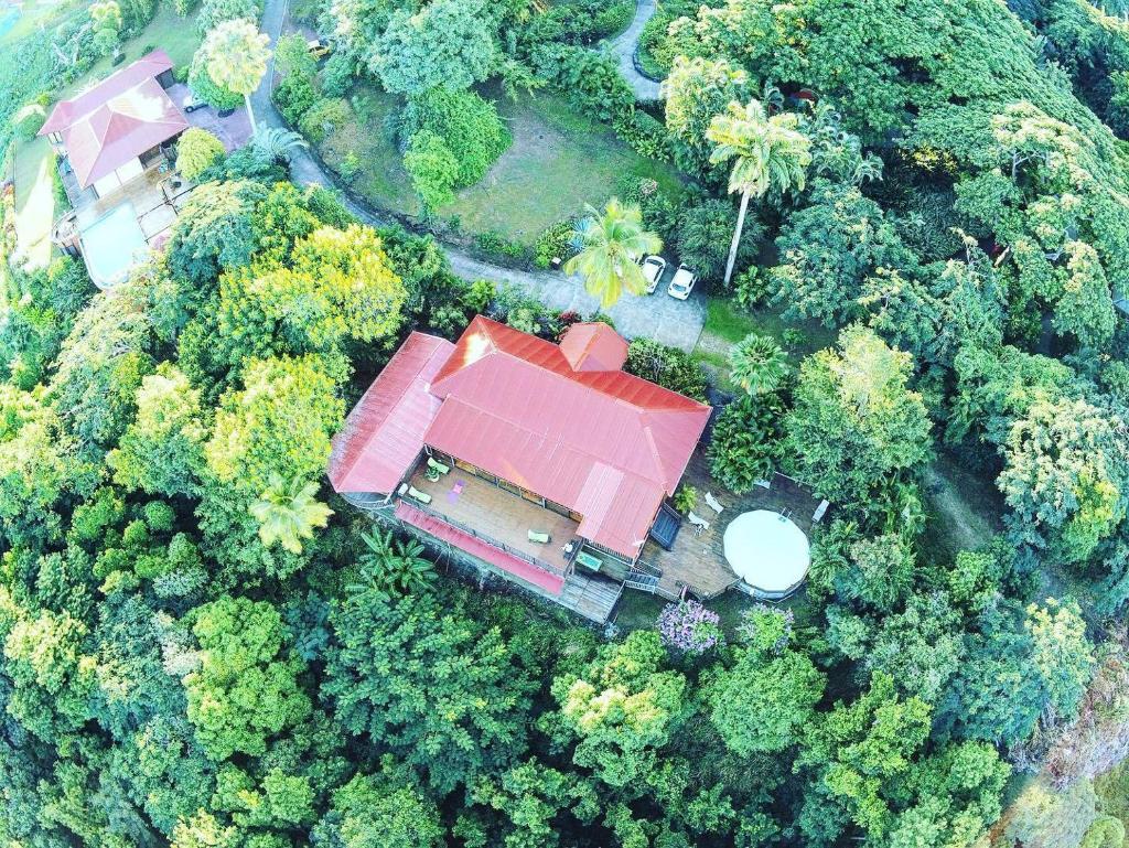 VILLA DU JARDIN BOTANIQUE, EX. PROPRIETE COLUCHE photo 2