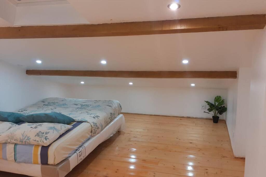 Appartement La JOIE dans quartier chic photo 1