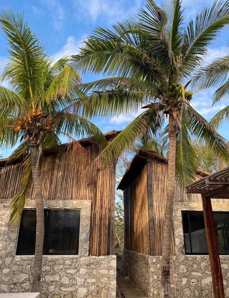 Piña Coloradas Ecolodge photo 3