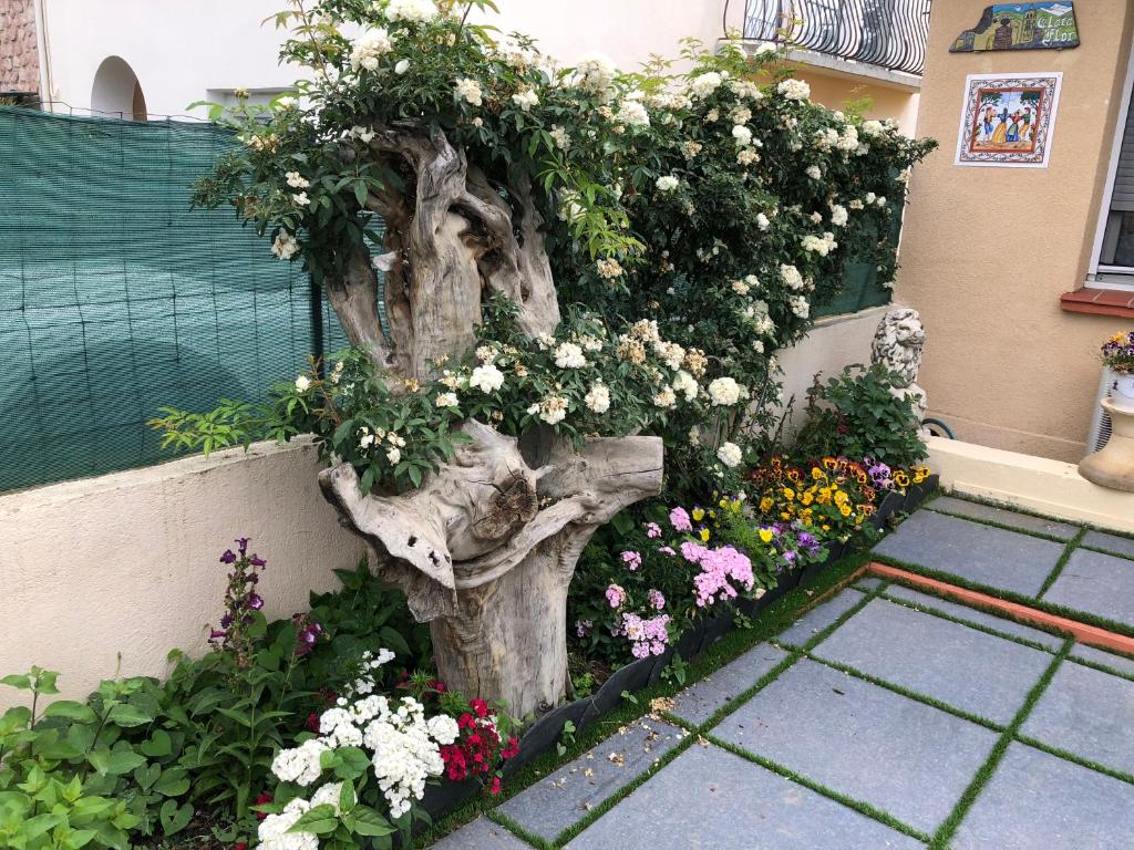 Pavillon Clara Flor photo 4