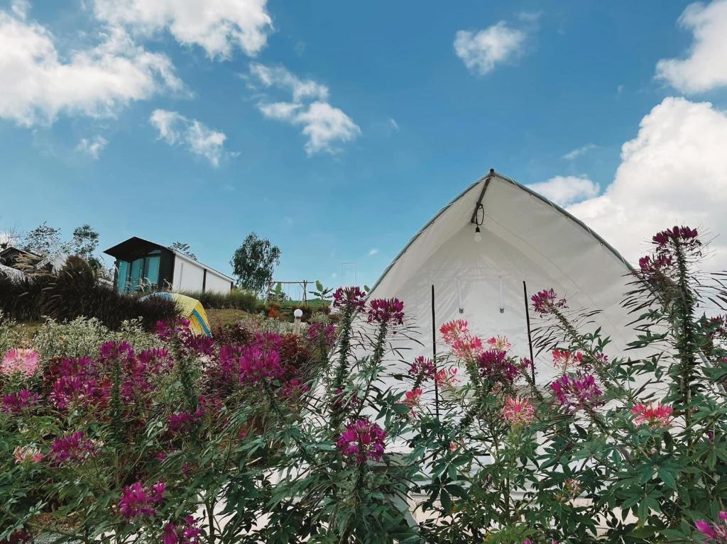 The Haus at Khaokho Room Type - Tent with Share Toilet