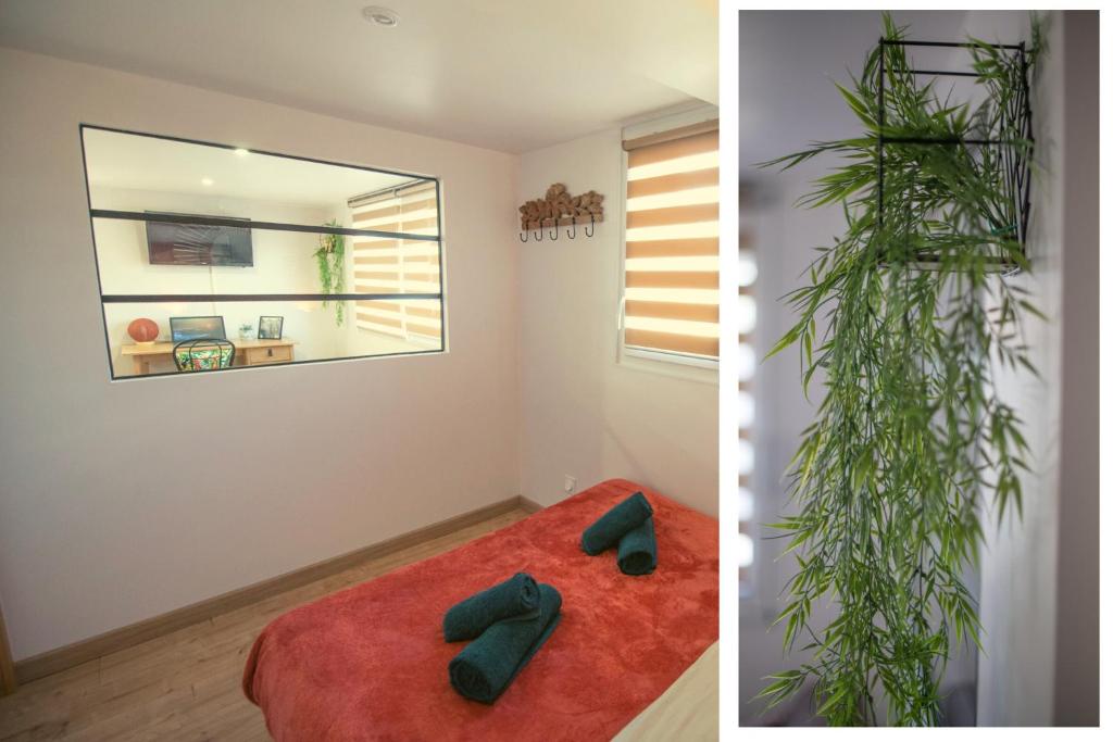 KASA HOME - Calme, Cosy, WIFI & Netflix photo 2