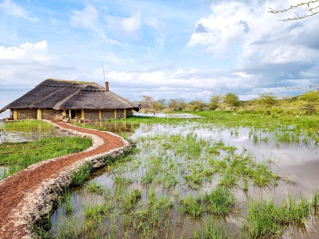 Africa Safari Lake Manyara located inside a wildlife park photo 2