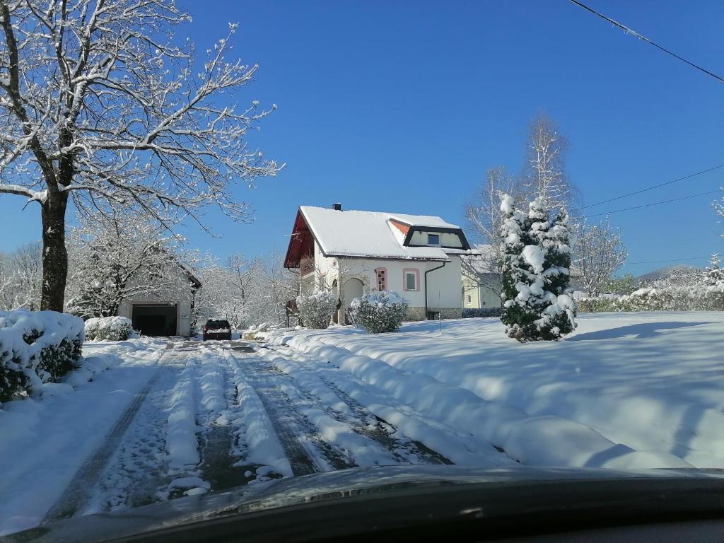 Apartman Jasmin photo 1