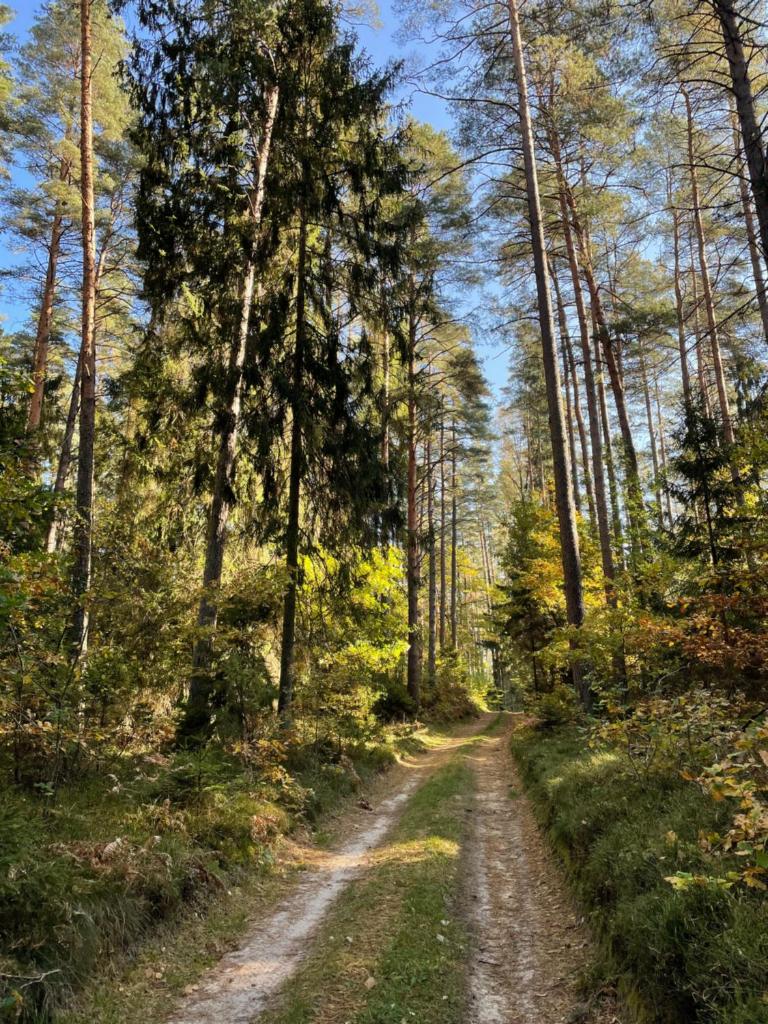 Biały Domek photo 3