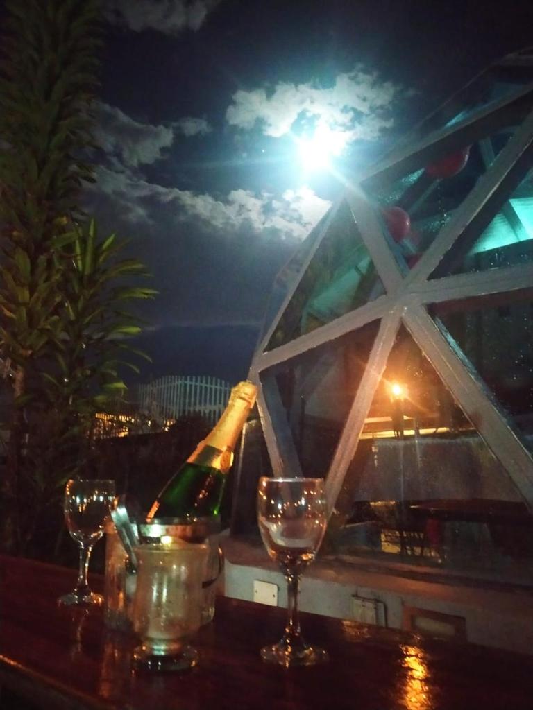 Eco Domo glamping photo 3