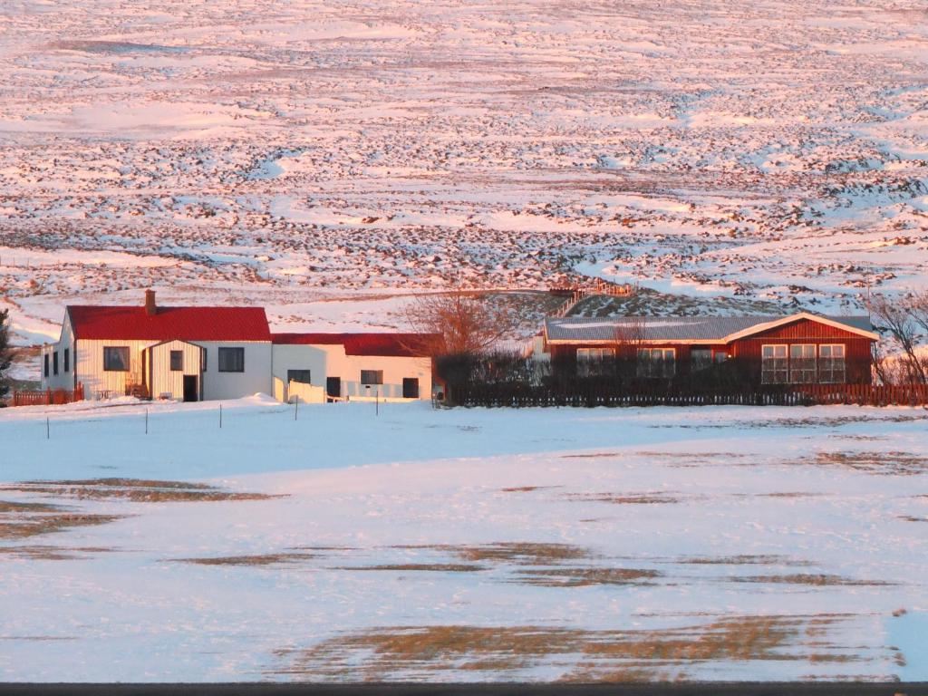 apartment Neðra-Vatnshorn photo 1