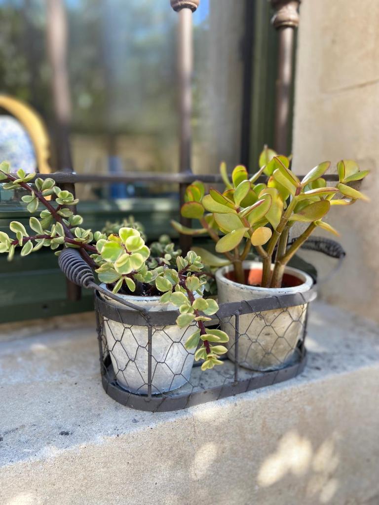 Le jardinet de Rosa Maison de village photo 3
