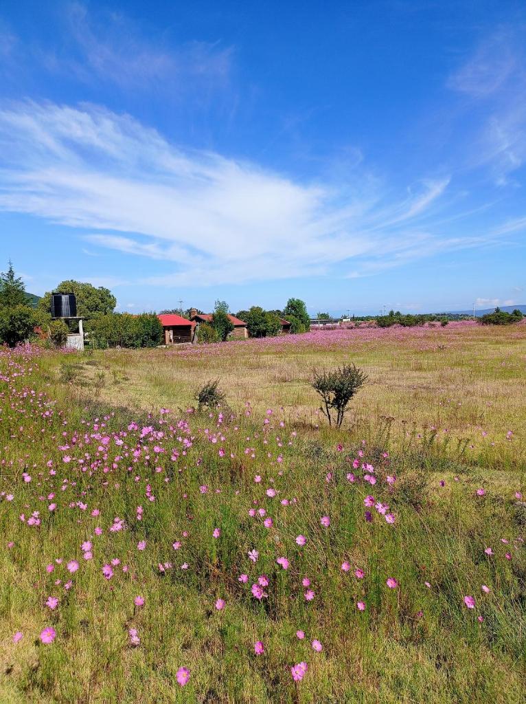 Cabañas el Corral del Rayo Huasca photo 4