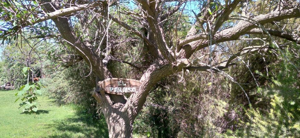 El Paraiso de Carmen de Areco photo 3