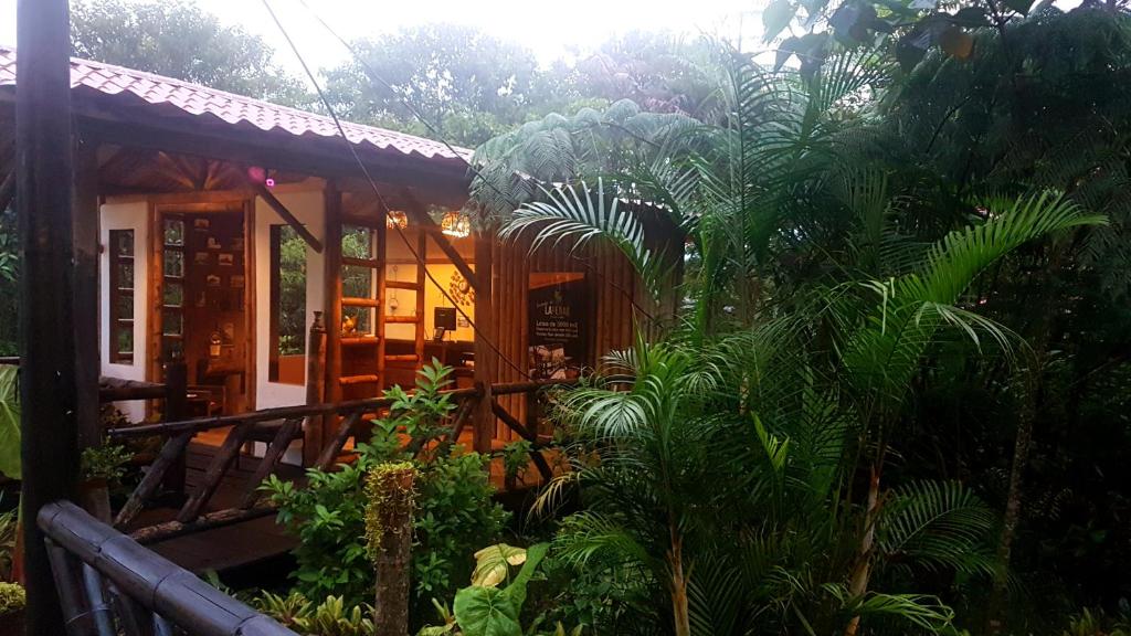 La Penal Amazon Lodge! photo 4