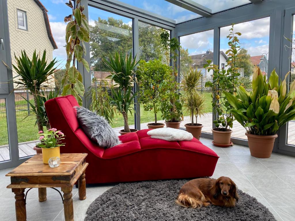 Ferienhaus Crowson photo 2