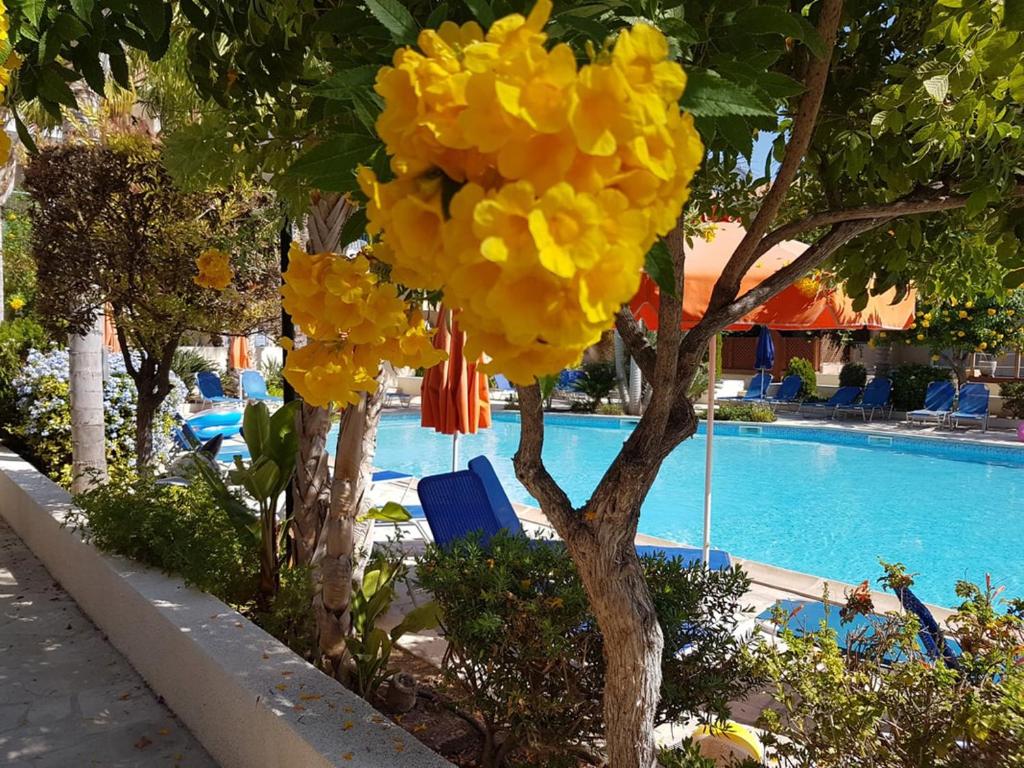 Villa Ilios in Kato Paphos photo 1