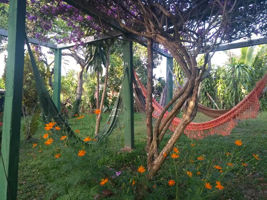 Recanto Solar da Paz photo 3