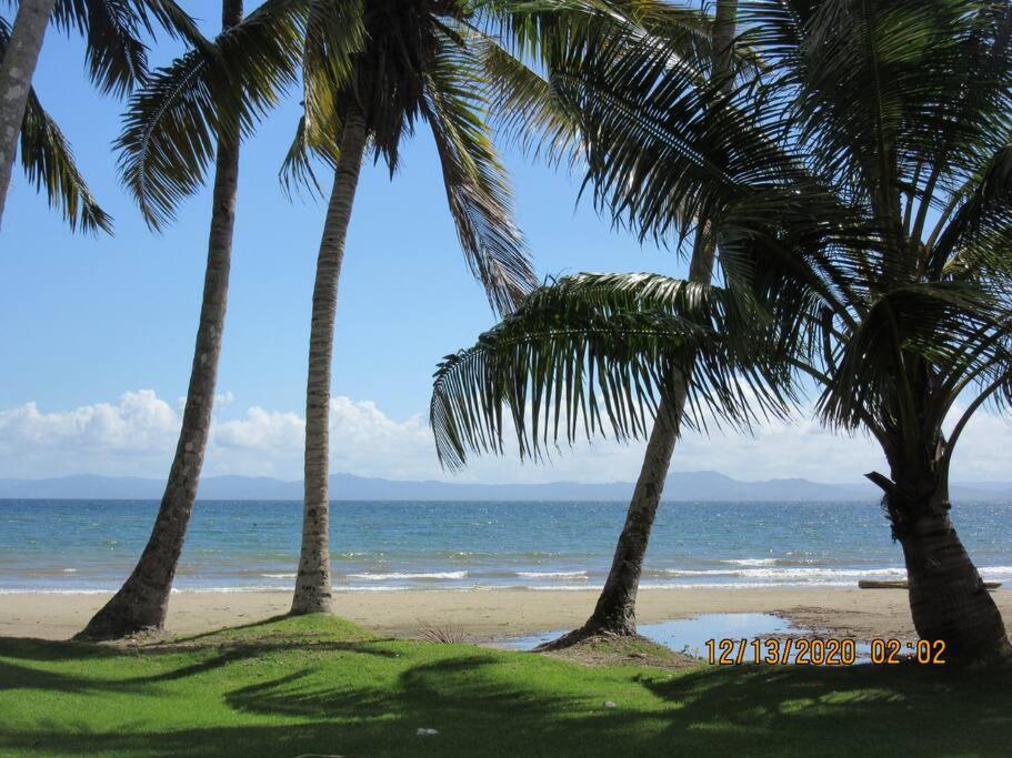 Pelicano Tropical Paraiso Samana photo 2