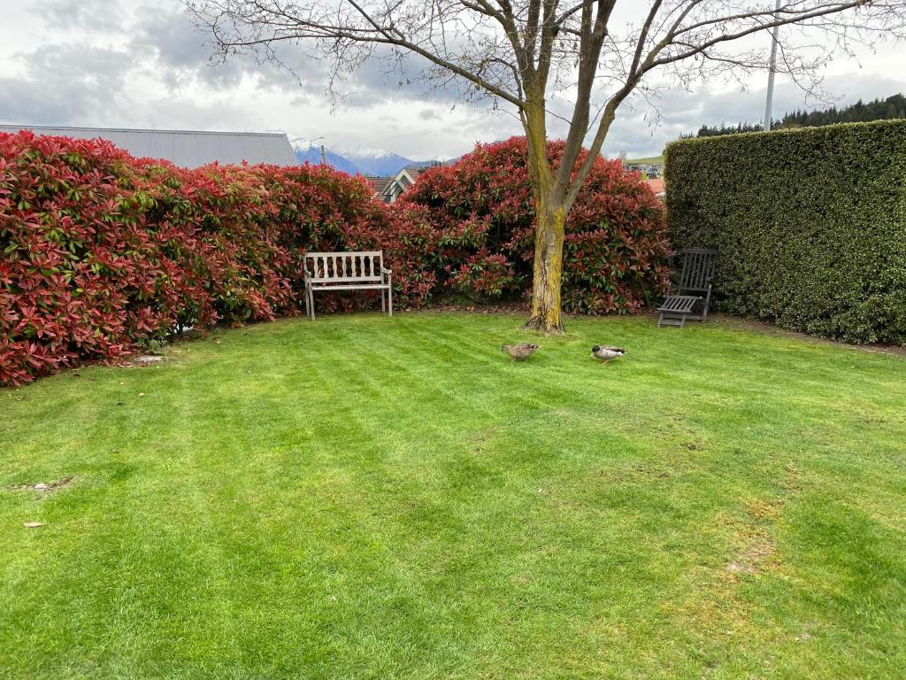 1 - Delightfully fresh, private home close to town photo 3