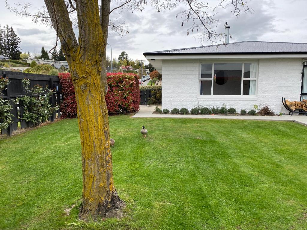 1 - Delightfully fresh, private home close to town photo 1